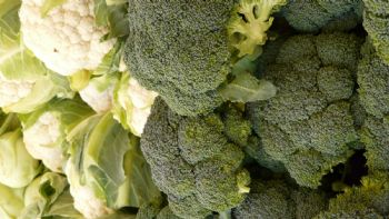 TIPS: Así debes preparar el brócoli y la coliflor para que no te provoquen gases