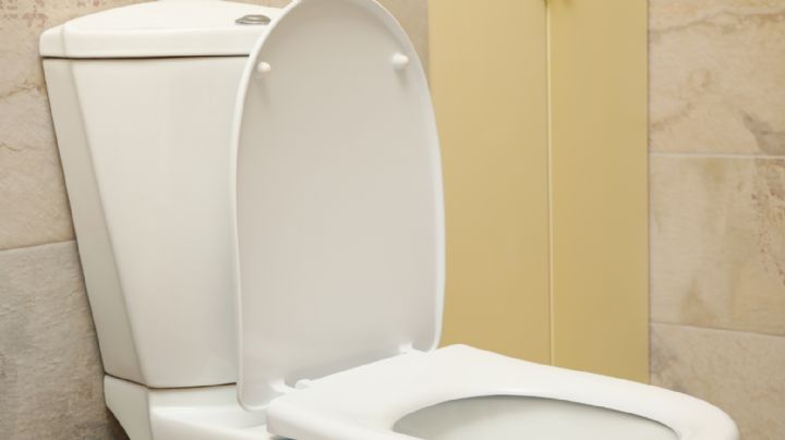Desinfecta y elimina los malos olores en tu WC con este truco sencillo y efectivo