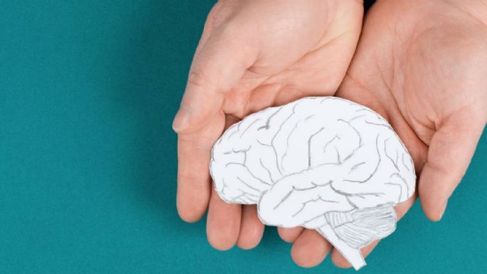 Semana Mundial del Cerebro: Guía completa de 10 pasos para cuidar del órgano más importante