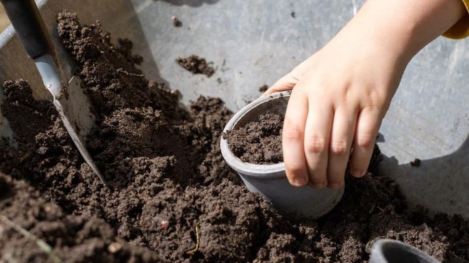 ¿Se puede reutilizar? Descubre si es viable usar de nuevo la tierra de una planta muerta