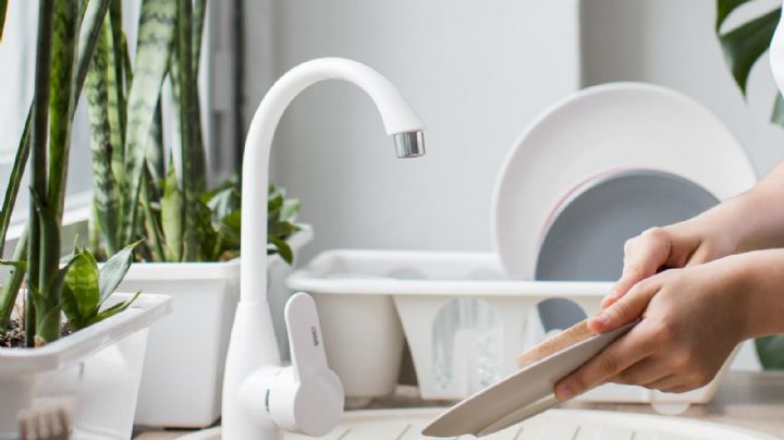 Detergente para lavar platos: Este truco te ayudaría a ahorrar producto y dinero