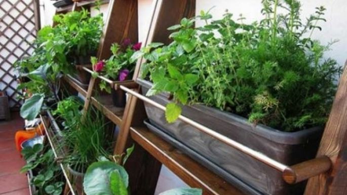 Recolecta tus propios vegetales: 5 claves para montar un pequeño huerto en el balcón de tu hogar
