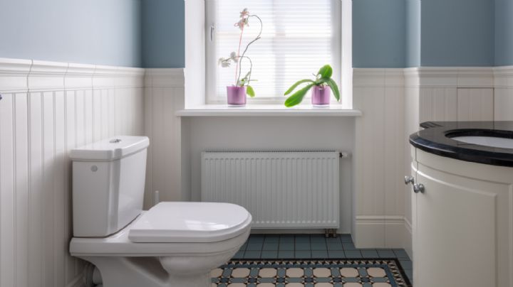 Evita los malos olores en casa: Cómo lograr que tu baño siempre huela delicioso de manera fácil