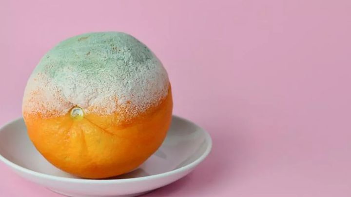 Alimentos que puedes comer aún con moho y los que es mejor desechar