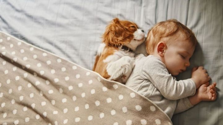 Regresión del sueño: Las 5 etapas en las que un bebé pasa por esta etapa