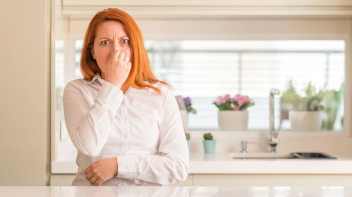 Malos olores en el día a día: 4 útiles consejos para desaparecerlos de manera efectiva