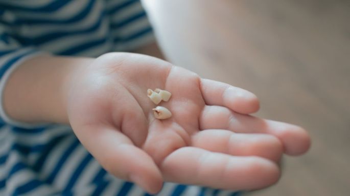 No los tires: Por este motivo es importante guardar los dientes de leche de tu hijo