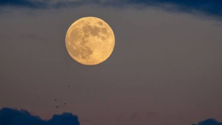2 poderosos rituales para que puedas aprovechar la energía de la Luna llena de marzo