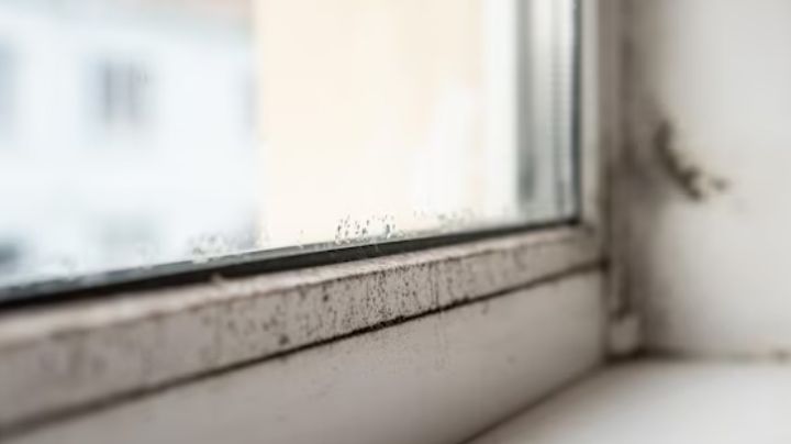 Consejos para eliminar la humedad de las ventanas del hogar