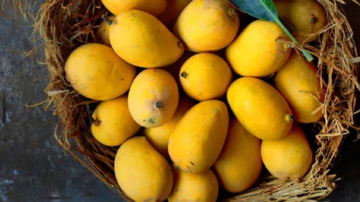 Guía práctica para saber cómo comprar mangos en primavera y aprovechar su sabor esta temporada