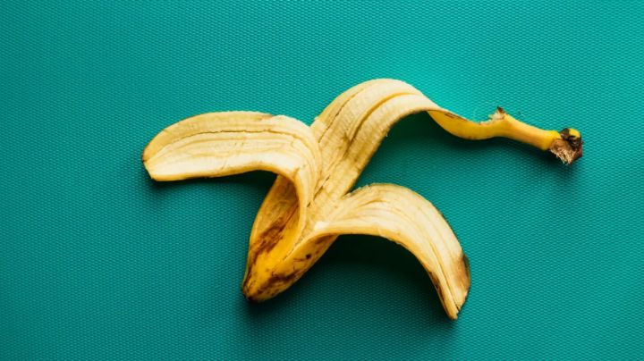 Jardinería: Descubre cuáles son aquellas plantas que pueden beneficiarse de la cáscara de plátano