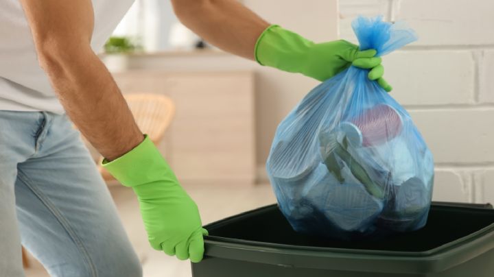 ¿Cómo dejar de tener gusanos en el bote basura? Estos 7 productos de casa pueden ayudarte