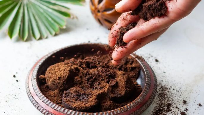 Exfoliante con café: Para un aroma delicioso y una piel más suave, sigue esta receta de belleza