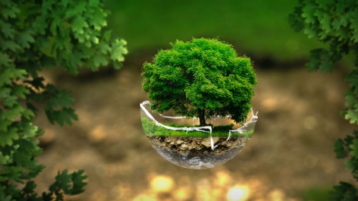 Día de la Tierra: 4 acciones sencillas para cuidar el bienestar del medio ambiente todos los días