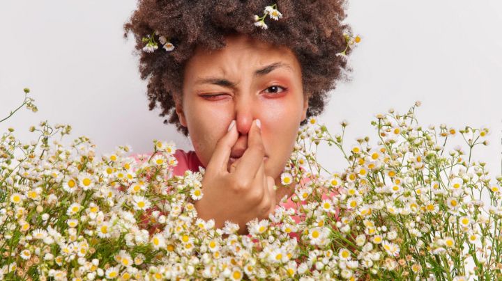 Prevención de la alergia al polen: Sigue estos consejos para evitar los molestos síntomas