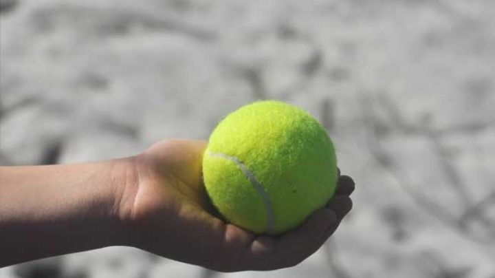 No lo vas a creer: 4 motivos por los que deberías poner una pelota de tenis en tu lavadora
