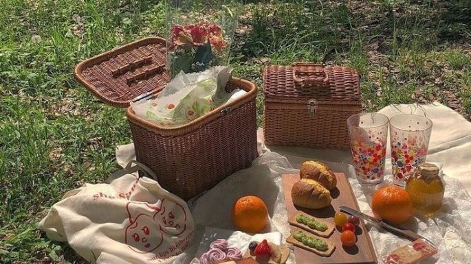 Haz de tu picnic un recuerdo inolvidable; te compartimos una receta saludable, fresca y sabrosa