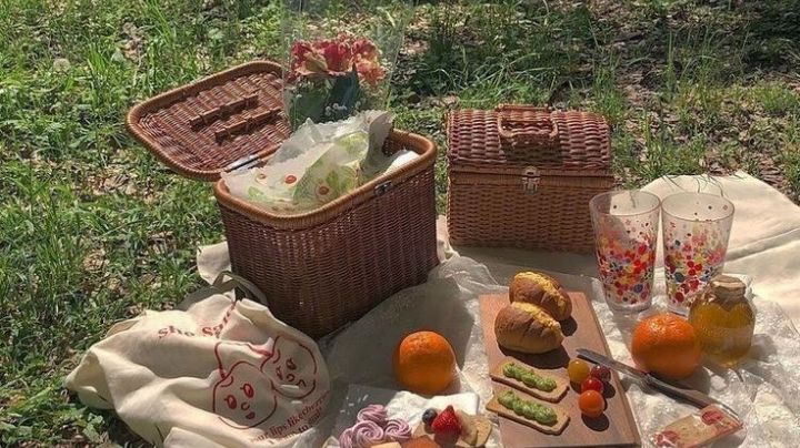 Haz de tu picnic un recuerdo inolvidable; te compartimos una receta saludable, fresca y sabrosa