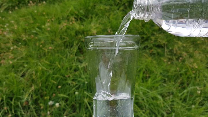 ¿Tomaste tus 2 litros de agua? Descubre por qué es importante estar hidratada en esta onda de calor