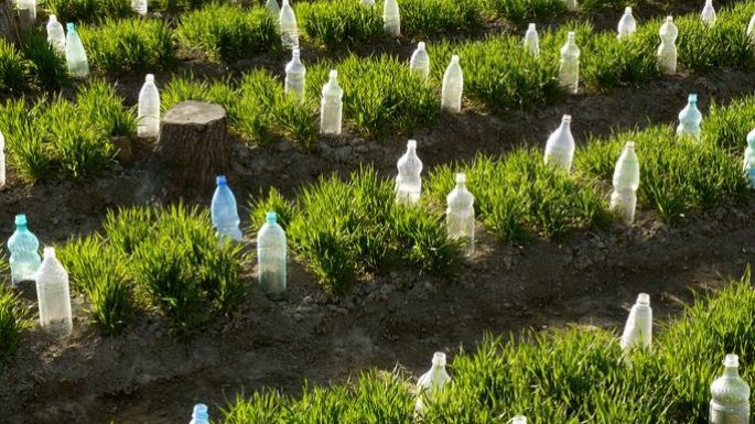 ¿Cómo limitar el riego de plantas? 5 hábitos anti-desperdicio para ahorrar la mayor cantidad de agua