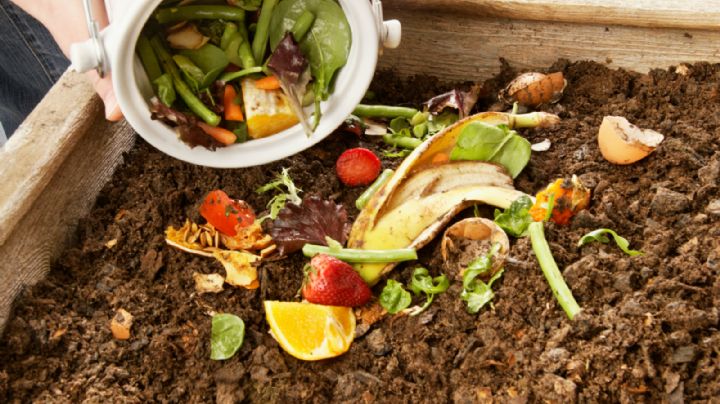 ¿Qué criterios usar para clasificar sus residuos? ¿Qué fruta no se debe poner en el compost?