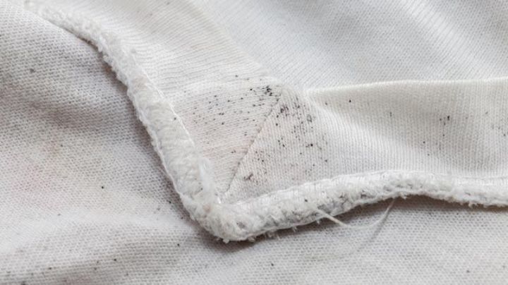 ¿Cómo eliminar las manchas de moho de la tela sin dañarla? Mira estos consejos de lavandería