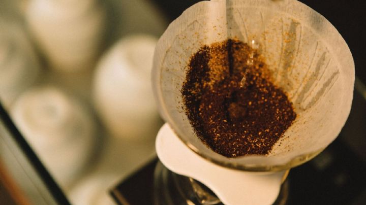 Desaparece las celulitis con posos de café; descubre cómo usar este ingrediente en la piel