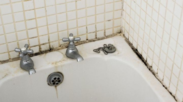 Elimina los depósitos marrones en el baño; utiliza remedios caseros para limpiar cristal y azulejo