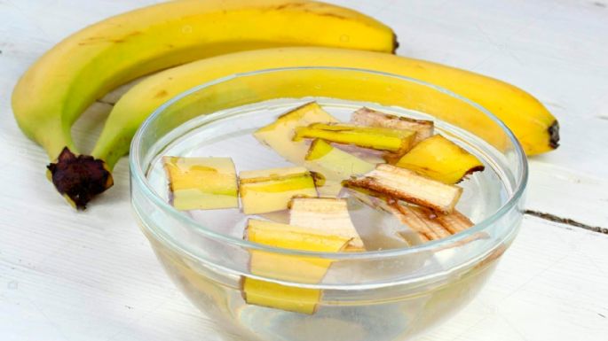 Agua fermentada de plátano: Te mostramos cómo prepararla y los beneficios de usarla en tu jardín