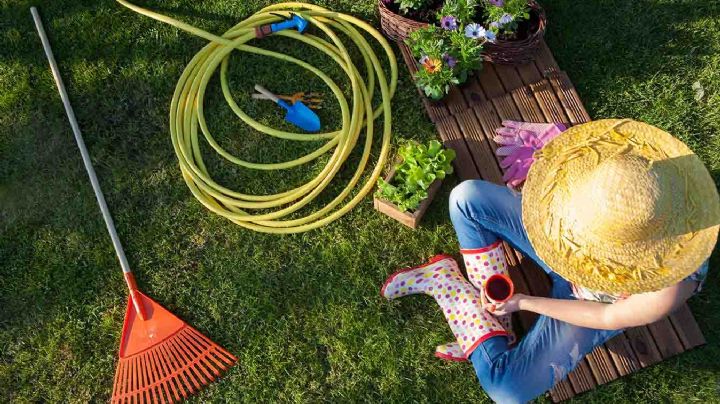 Guía sencilla para limpiar la manguera; al hacerlo garantizas una vida sana para tu jardín