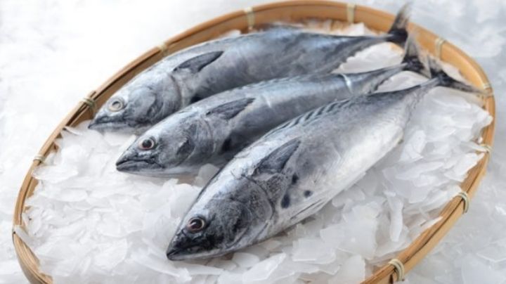 ¿Cómo almacenar pescado fresco? 2 métodos que funcionan y lo mantienen en buenas condiciones