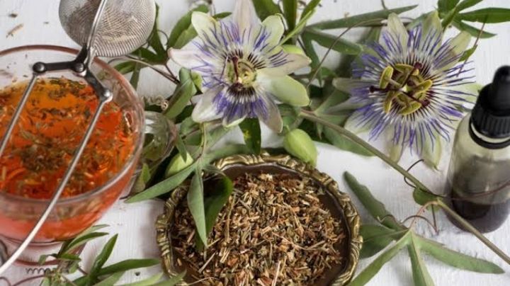 Pasiflora: Descubre los beneficios de preparar y tomar una taza de té de esta hierba al día
