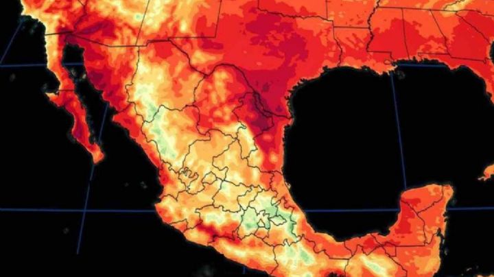 Las 5 cosas que no debes hacer ante una ola de calor para proteger tu salud; mantente a salvo