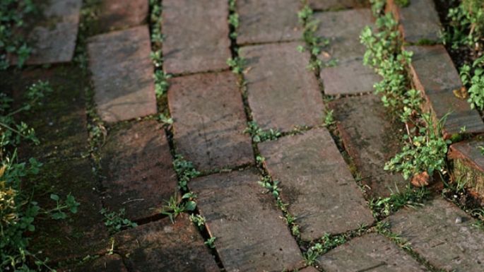 Elimina las malas hierbas entre las piedras: ¡Estos remedios caseros pueden hacer el trabajo!