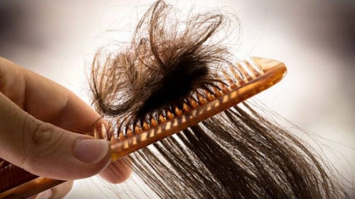 Aflojar nudos en el cabello: Trucos para desenredar tu cabello sin batallar