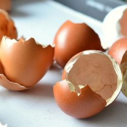 ¿Cómo utilizar las cáscaras de huevo en el jardín? Consejos para potenciar tus plantas