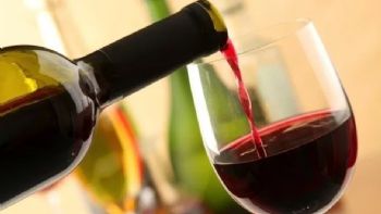 ¿El vino tinto es bueno para las plantas? Descubre la respuesta; aquí TODOS los detalles